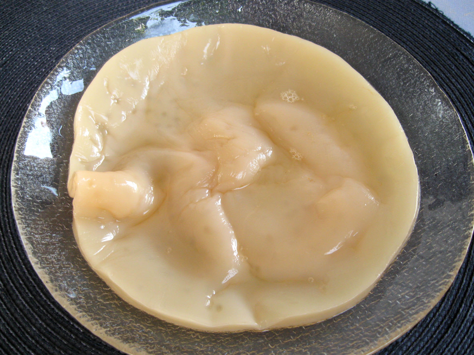 Zbliżenie na zdrowy SCOBY - widoczna charakterystyczna struktura bez oznak pleśni